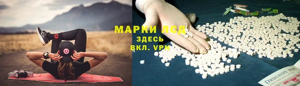 шишки Белоозёрский