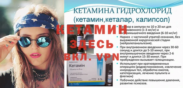 шишки Белоозёрский
