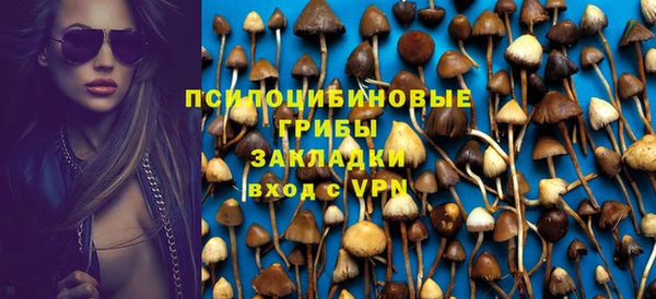 дмт Балахна