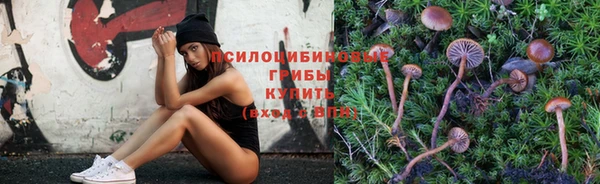 MDMA Беломорск