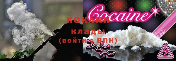шишки Белоозёрский